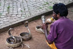 incantatore di serpenti