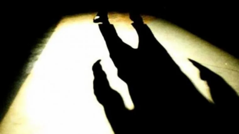 sognare un'ombra